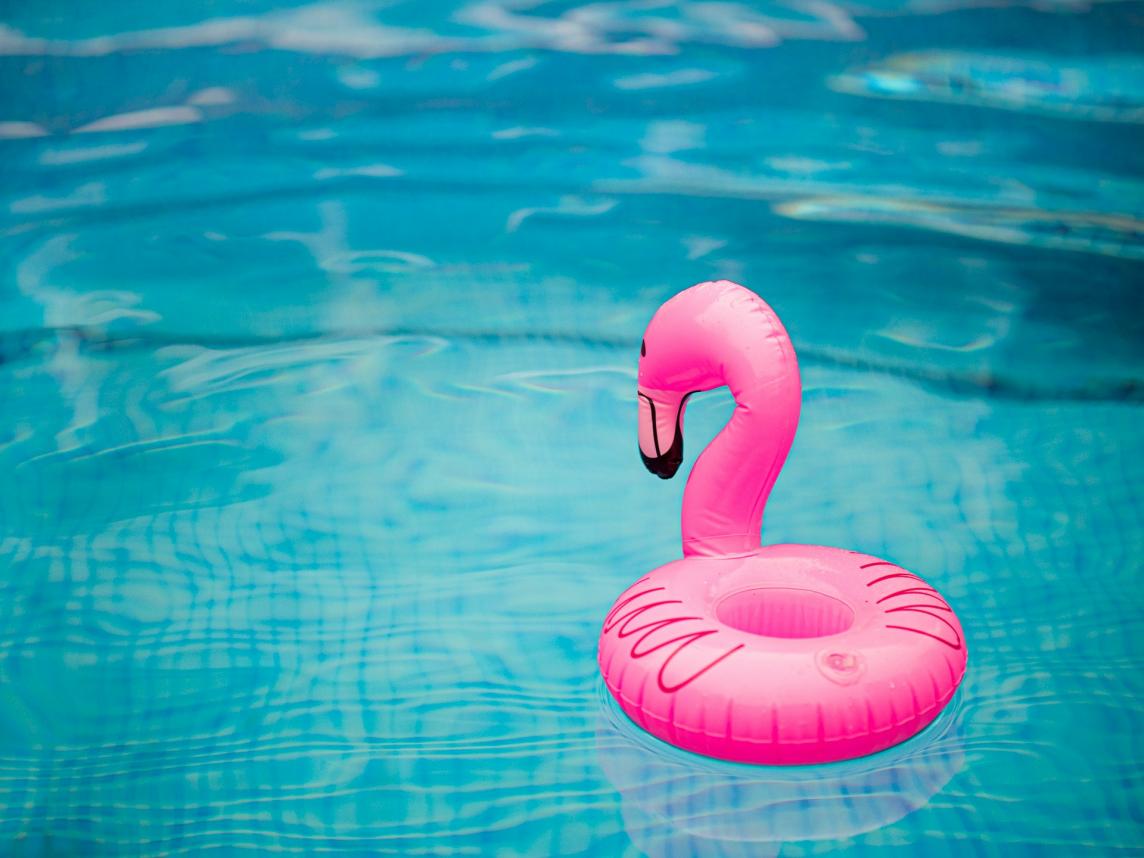 Gigantic Inflatable Flamingo